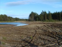 S5000173.JPG (735.3 КБ) 11872 просмотра S5000173.JPG