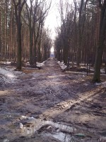 стройка в удельном парке (4).jpg (187.01 КБ) 13861 просмотр стройка в удельном парке (4).jpg