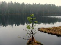 IMG_3383.JPG