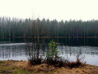 IMG_3378.JPG