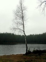IMG_3371.JPG