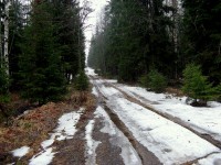 IMG_3356.JPG