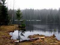 IMG_3347.JPG