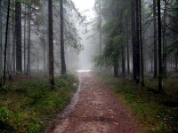 IMG_3339.JPG