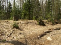 DSCF60671.jpg (444.62 КБ) 17383 просмотра DSCF60671.jpg