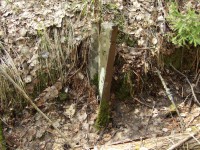 DSCF60581.jpg (445.28 КБ) 17419 просмотров DSCF60581.jpg