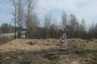 010.JPG