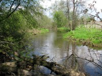 Image 047_resize.jpg