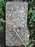 Image 053_resize.jpg
