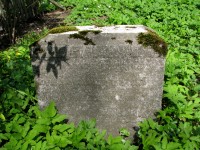 Image 046_resize.jpg