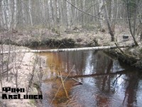 Копия (2) IMG_4881.JPG (84.09 КБ) 11744 просмотра Копия (2) IMG_4881.JPG