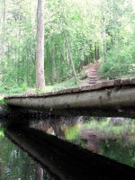 Image 088_resize.jpg