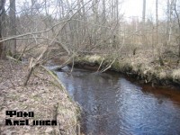 Копия (2) IMG_4880.JPG (85.97 КБ) 11162 просмотра Копия (2) IMG_4880.JPG