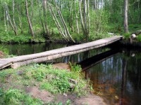 Image 087_resize.jpg