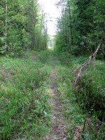 Image 092_resize.jpg