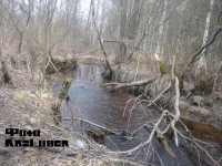 Копия IMG_4891.JPG