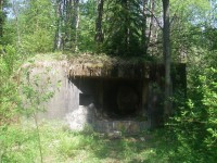 IMGP0038.JPG
