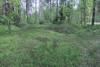 017.JPG (184.05 КБ) 17767 просмотров 017.JPG