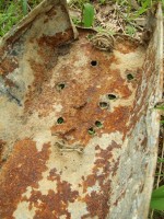 DSCF3.jpg (413.36 КБ) 16735 просмотров DSCF3.jpg