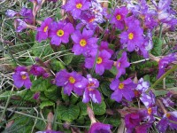 015.jpg (150.15 КБ) 4887 просмотров 015.jpg