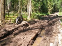 P7102437.jpg (441.24 КБ) 17774 просмотра P7102437.jpg