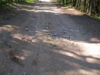 P7112516_resize.JPG (365.98 КБ) 17341 просмотр P7112516_resize.JPG