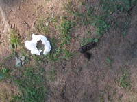 P7112515_resize.JPG (417.51 КБ) 17199 просмотров P7112515_resize.JPG