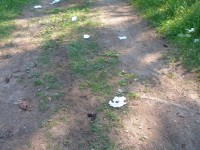 P7112513_resize.JPG (413.11 КБ) 17328 просмотров P7112513_resize.JPG