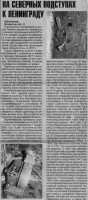 бойкаур222.jpg