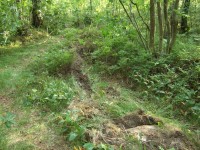 DSCF7404.JPG