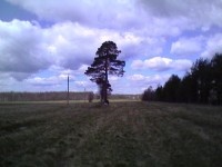 Photo-0033.jpg (65.19 КБ) 4896 просмотров Photo-0033.jpg