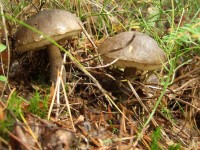 DSCF7922.JPG