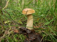 DSCF7859.JPG