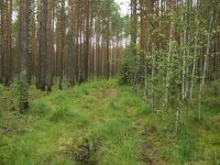 DSCF7813.JPG