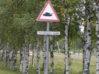 DSCN2141.jpg
