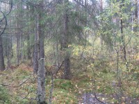 IMG_6085.jpg