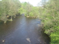 IMG_6671.jpg (90.21 КБ) 8151 просмотр IMG_6671.jpg