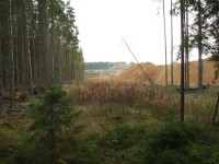 DSCF8562.jpg