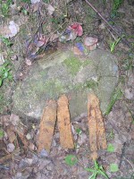 pered_003.jpg (110.6 КБ) 4125 просмотров pered_003.jpg