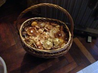 DSC01439.JPG