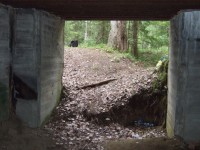 DSCF3345.jpg (437.66 КБ) 9349 просмотров DSCF3345.jpg