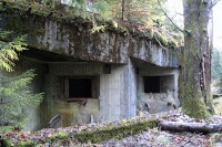 Неизвестный.jpeg (201.48 КБ) 8817 просмотров Неизвестный.jpeg