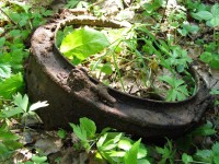 P6130145.JPG (187.73 КБ) 16098 просмотров P6130145.JPG