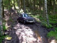 грибы 013.jpg (191.83 КБ) 11589 просмотров грибы 013.jpg