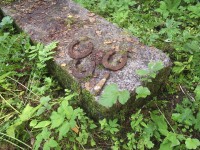 P7280003.JPG (263.23 КБ) 9734 просмотра P7280003.JPG