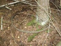 P8290247.JPG (235.3 КБ) 9922 просмотра P8290247.JPG