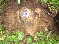 P8300001.JPG (231.54 КБ) 8214 просмотров P8300001.JPG