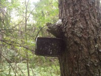 P8300004.JPG (180.15 КБ) 9075 просмотров P8300004.JPG