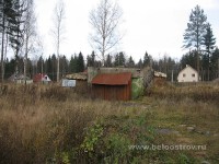 IMG_0318.jpg