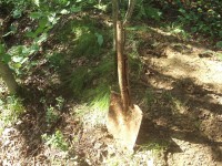 P8060024.JPG (245.44 КБ) 8534 просмотра P8060024.JPG